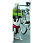 Cykelkoppel Handsfree  - Doggy Biker Exerciser