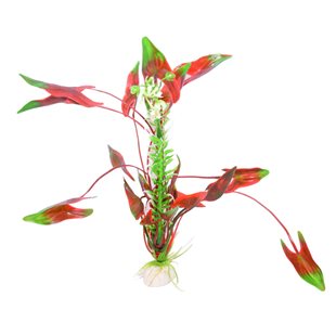 Plastväxt för akvarium - Röd/grön - 30 cm