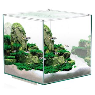 Ciano - Akvarium - Nexus Pure Cube - 14 liter