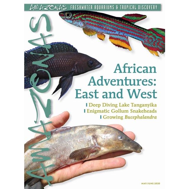 Amazonas Vol 9 No 3 - African Adventure: East & West