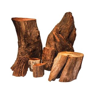 Tree Log - Trästubbar 10-40 cm - 10 kg