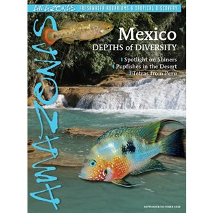 Amazonas Vol 9 No 5 - Mexico: Depths of diversity