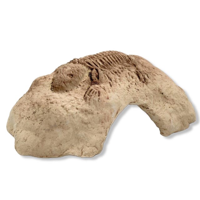Fossil Stone Cave - White S - 15x10x6 cm - Keramik
