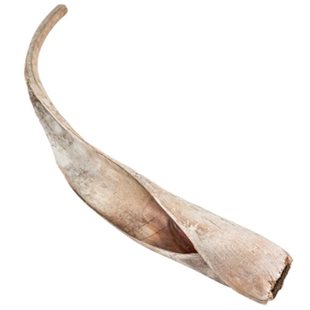 Palmblad Cavalo Carana - 70-80 cm - 3-pack