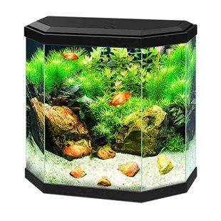 Ciano - Akvarium - Aqua 30 LED - Svart - 25 liter