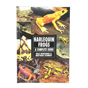 Harlequin Frogs: A Complete Guide