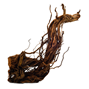 Curl-Wood Rot - Blandade storlekar - 6 kg