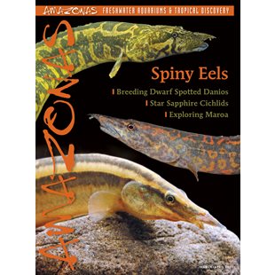 Amazonas Vol 10 No 2 - Spiny Eels