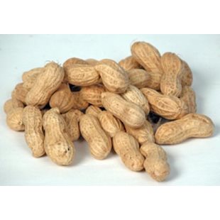 Jordnötter - Med Skal - 10 Kg