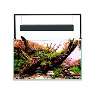 Aquael UltraScape 60 - Optiwhite-akvarium - Svart