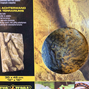 Exo Terra - Rock Background - 30x45 cm