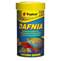 Tropical Dafnia - Daphnia - 100 ml