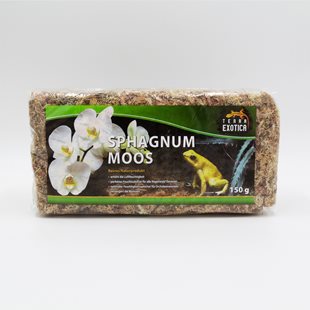 Terra Exotica - Sphagnum mossa 150 g - Vitmossa 12 liter