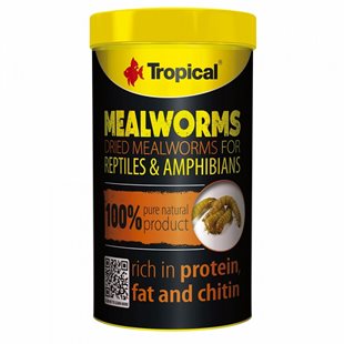Tropical Meal Worms - Mjölmaskar - 250 ml