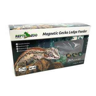 Repti-Zoo Duo Magnetic Ledge Feeder - Transparent