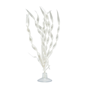 Plastväxt - Corkscrew Vallisneria -  Med sugkopp - 12,7 cm