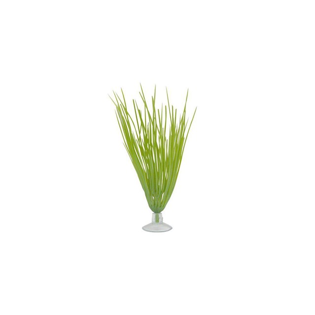 Plastväxt - Hairgrass - Med sugkopp - 12,7 cm
