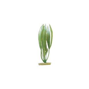 Plastväxt - Amazon Svärdplanta - 13 cm