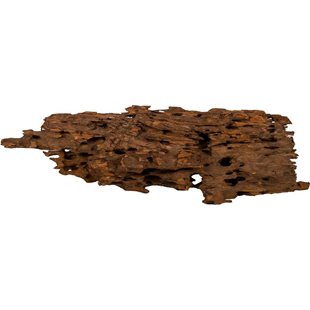 Aquadeco Dragon Wood - 40-60 cm