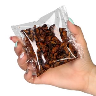 Shokumotsu - Silkworm - Torkade silkesmaskar - 50 ml