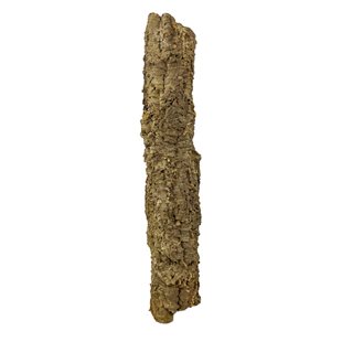 Korkbarksrör L - 75-100 cm - ø 8-15 cm