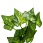 Murgröna girlang - 210 cm - 3-pack