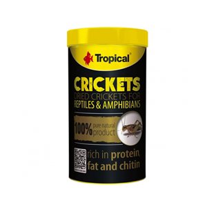 Tropical Crickets - 100 ml