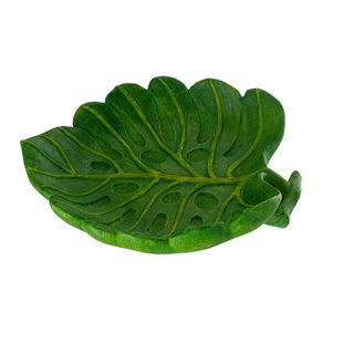 Reptile Nova Leaf Dish - Matskål - 15x13,5x3,5 cm