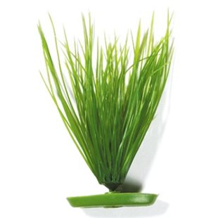 Marina Plastväxt - Hairgrass - 20 cm