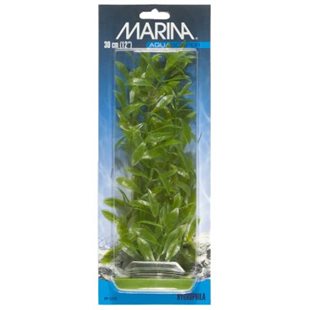 Marina Plastväxt - Hygrophila - 30 cm