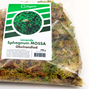 Zqare Levande Vitmossa - Sphagnum Mossa - 500 g