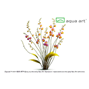 Utricularia longifolia - Köttätande Växt