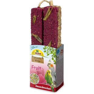 JR FARM - Protein-Birdys Fruit Gräshoppor - 150g