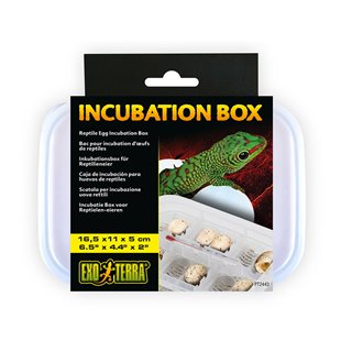 Exo Terra Reptile Egg Incubation Box
