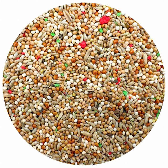 Bello Undulatblandning med Vitamintillskott - 5 kg