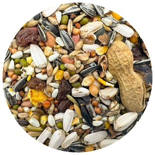 Papegojblandningdeluxe - 4 kg