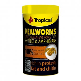 Tropical Meal Worms - Mjölmaskar - 100 ml
