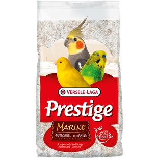 Snäcksand - Snäckskal med Anis - 25 kg