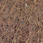 Terrarium Bakgrund Kokosfibermatta - 50x50 cm
