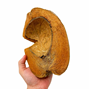 Delad Kokosnöt - ca. 20 cm