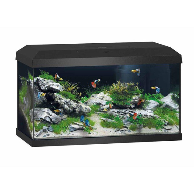 Juwel Primo 60 2.0 LED - 57 liter - Svart