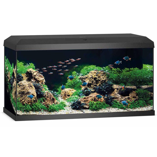 Juwel Primo 110 liter - LED 2.0 - Svart