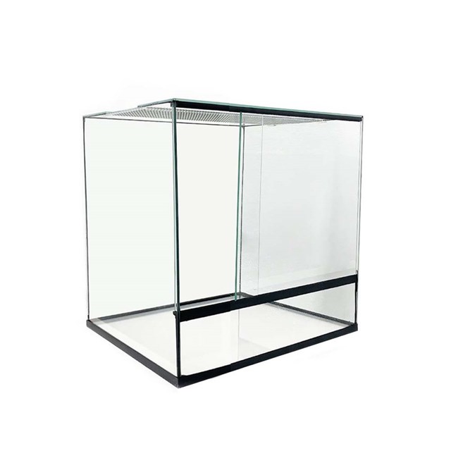 Terrarium - Glas - 30x30x30 cm