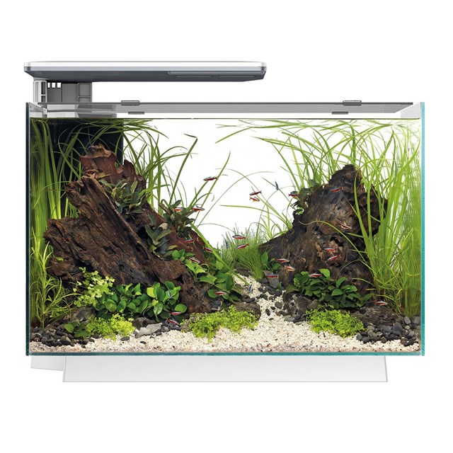 SuperFish Quadro 70 PRO Aquascaping Akvarium - Vit