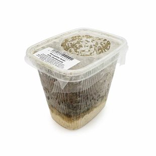 Drosophila Bananflugekultur - Bananflugor