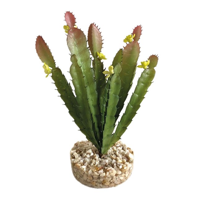 Plastväxt - Terra Cactus Flower Vivarium