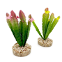 Plastväxt - Terra Cactus Flower Vivarium