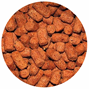 Dajana - Cichlid Sticks - 250 ml