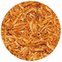 Dajana - Krill Pacifica - 250 ml