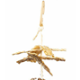 Fågelleksak Nature - Medium - 22 cm